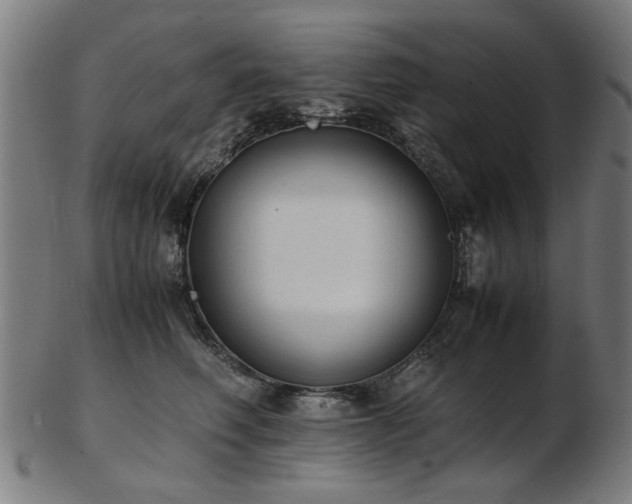 X0000103430614200809121331