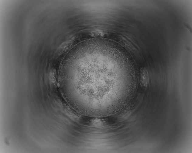 X0000103430616200809121331