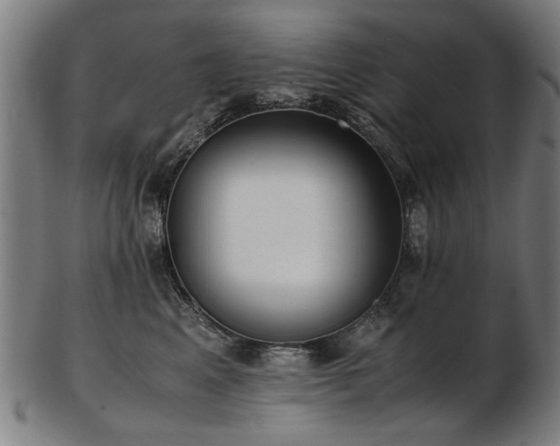 X0000103430617200809121331