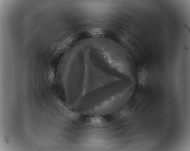 X0000103430618200809121331