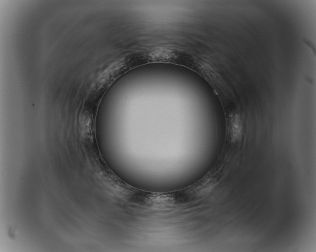 X0000103430619200809121331