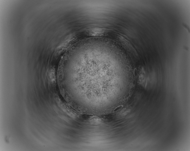 X0000103430620200809121331