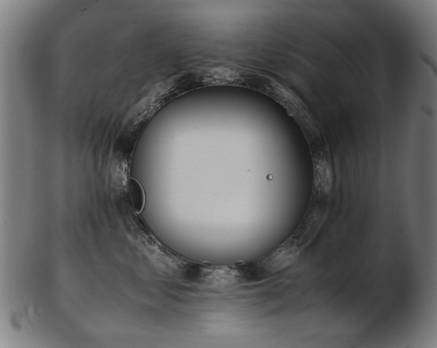X0000103430621200809121331