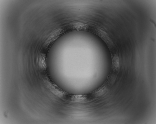 X0000103430622200809121331