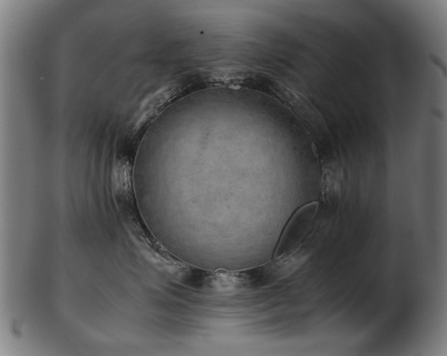 X0000103430623200809121331