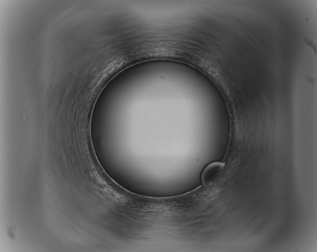 X0000103430625200809121330