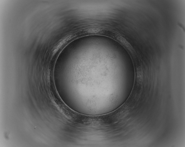 X0000103430626200809121330