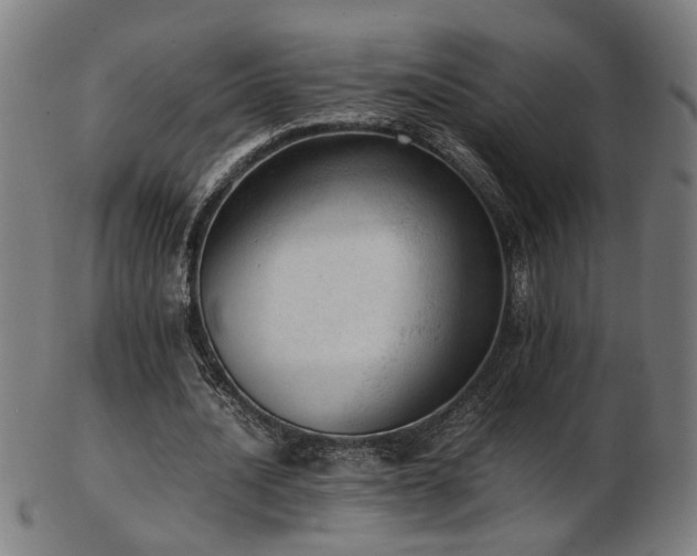 X0000103430628200809121330