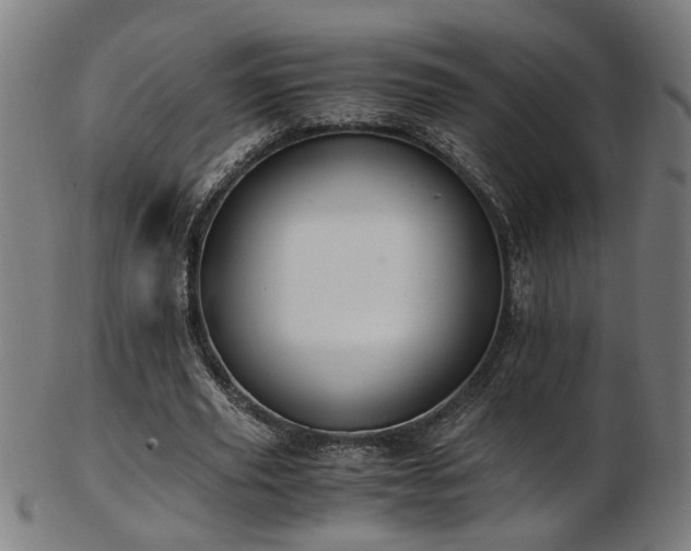 X0000103430629200809121330