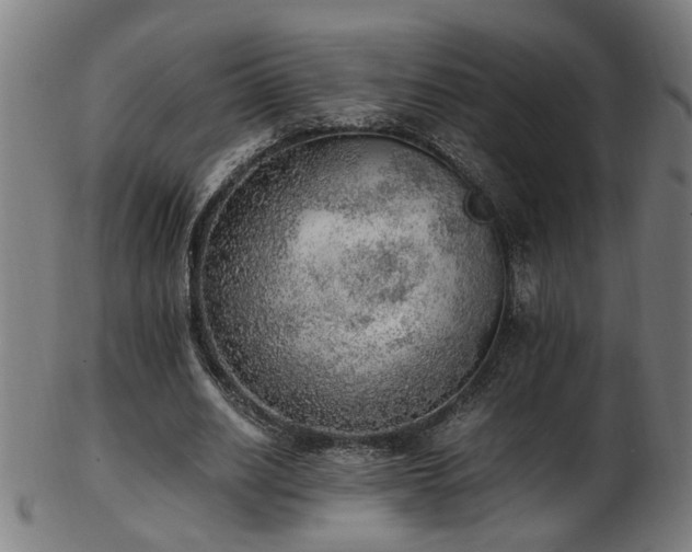 X0000103430630200809121330