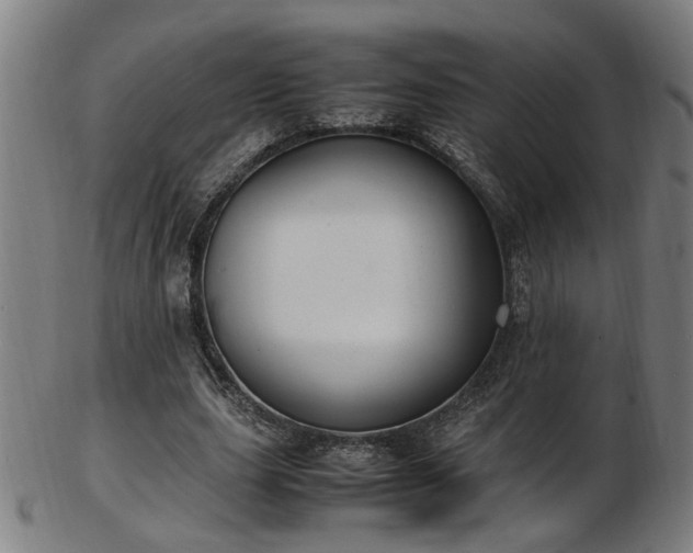 X0000103430631200809121330