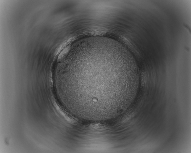 X0000103430634200809121330