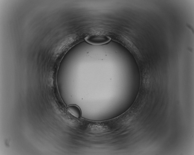 X0000103430635200809121330