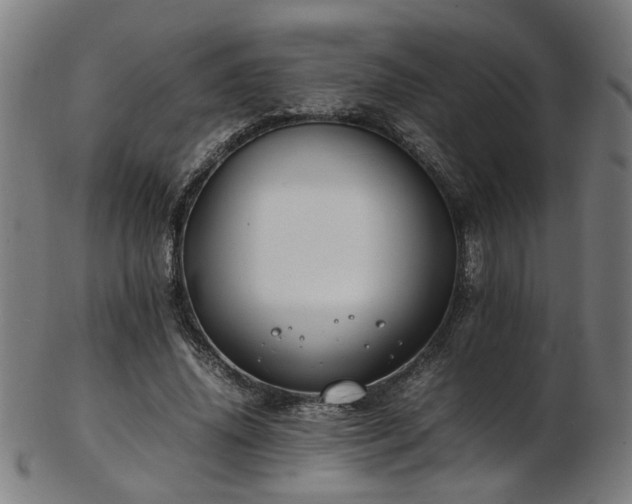 X0000103430636200809121330