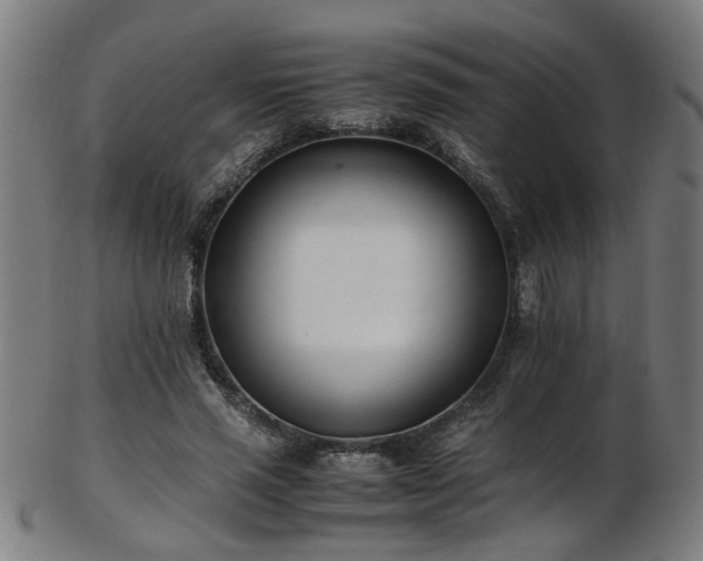X0000103430637200809121330