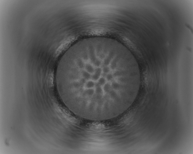 X0000103430640200809121330