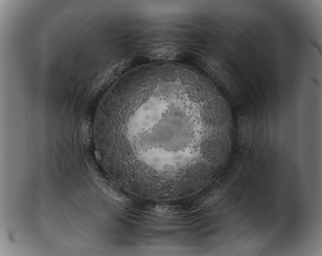 X0000103430641200809121330