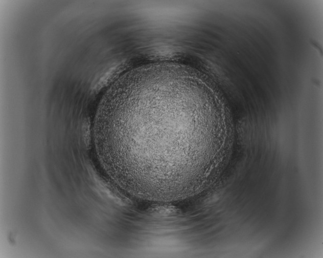 X0000103430642200809121330