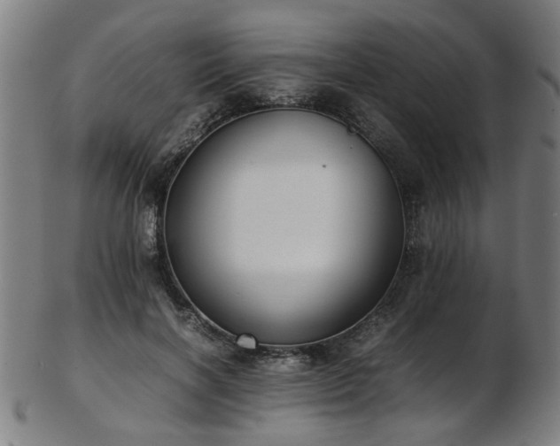 X0000103430646200809121331