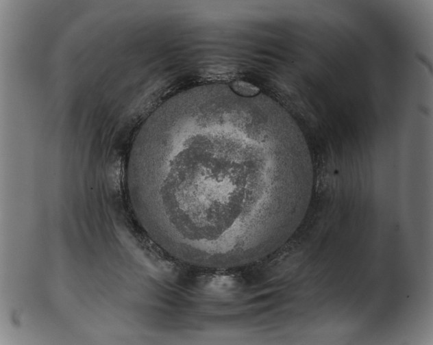 X0000103430647200809121331