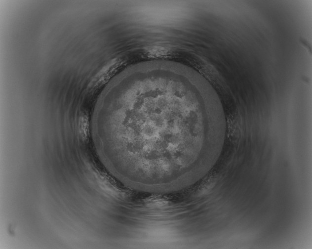 X0000103430648200809121331
