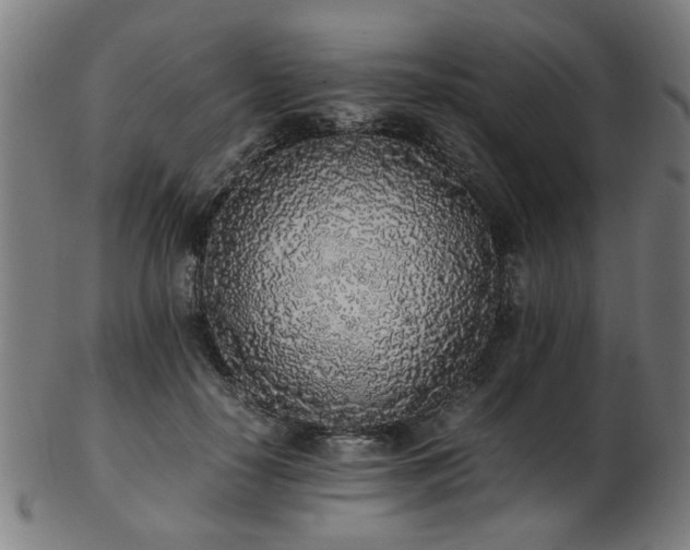 X0000103430650200809121331