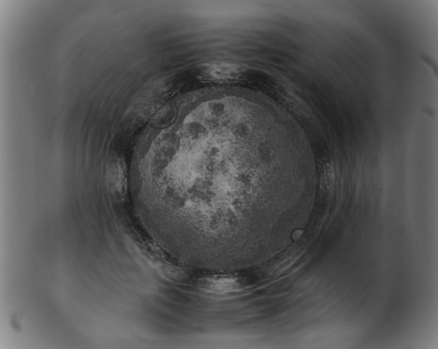 X0000103430651200809121331