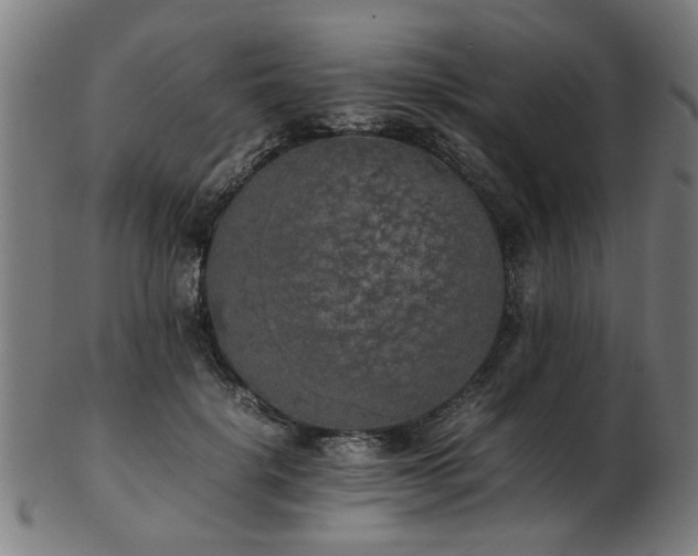 X0000103430652200809121331