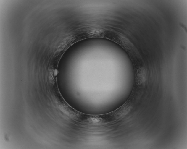 X0000103430654200809121331