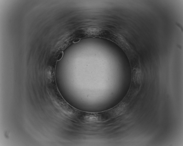 X0000103430655200809121331