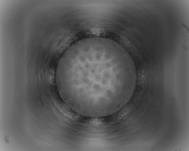 X0000103430656200809121331