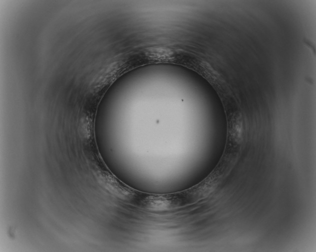 X0000103430658200809121331