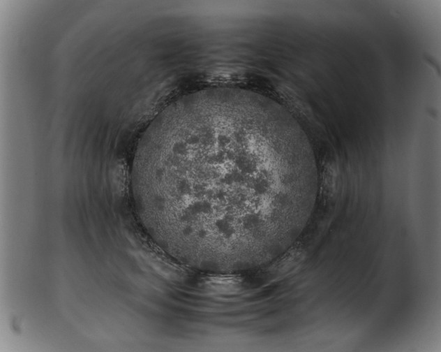 X0000103430659200809121331