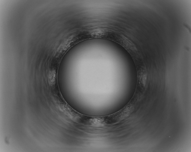 X0000103430660200809121331