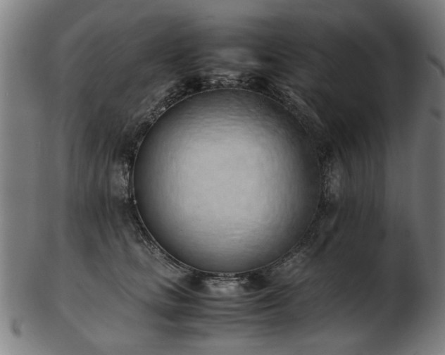 X0000103430661200809121331
