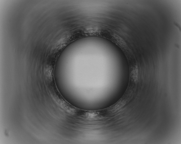X0000103430662200809121331