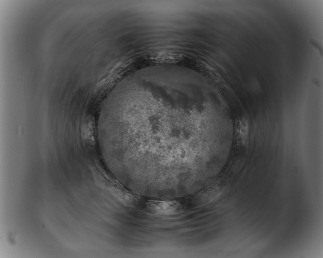X0000103430663200809121331
