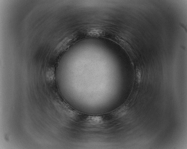 X0000103430665200809121331