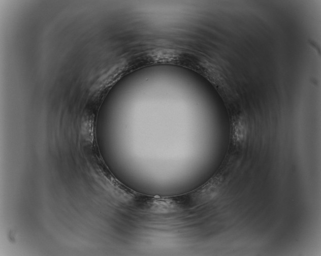 X0000103430666200809121331