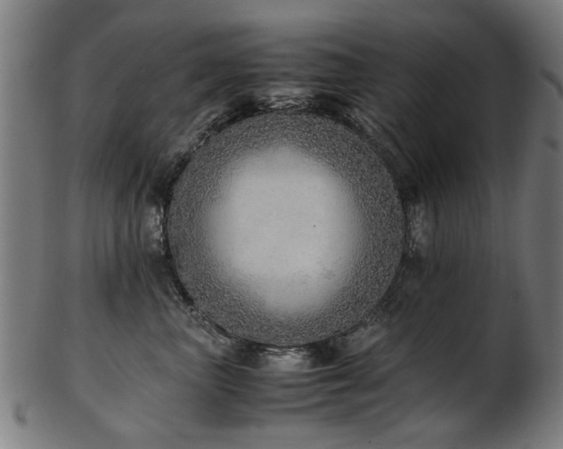 X0000103430667200809121331