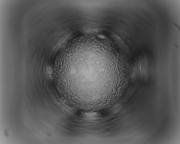 X0000103430669200809121331
