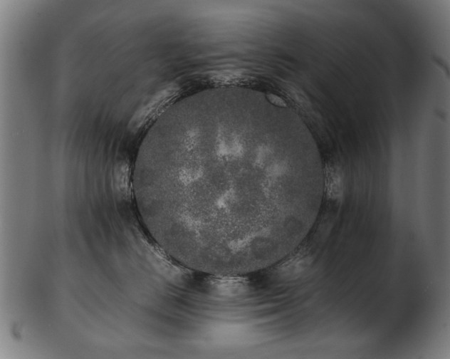 X0000103430670200809121331
