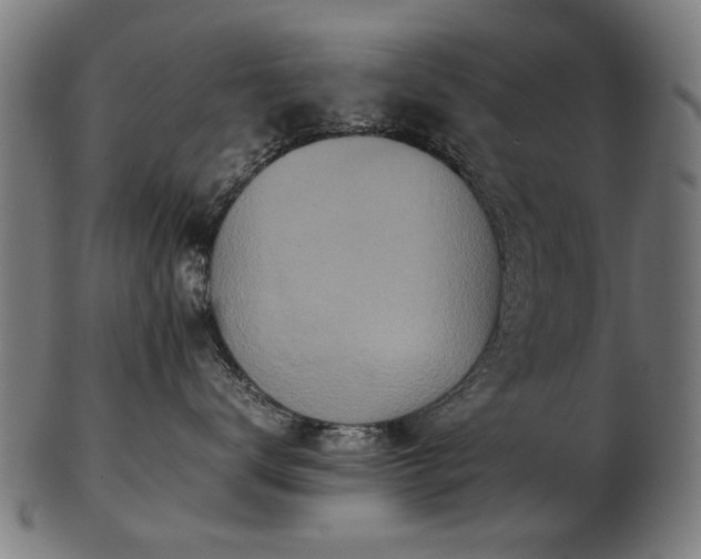 X0000103430672200809121331