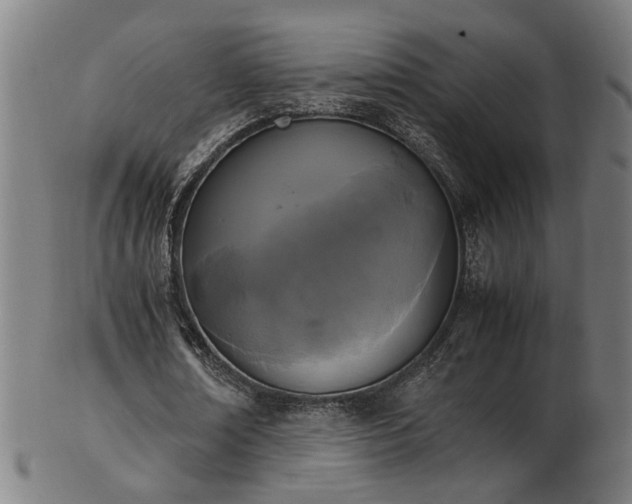 X0000103430674200809121330
