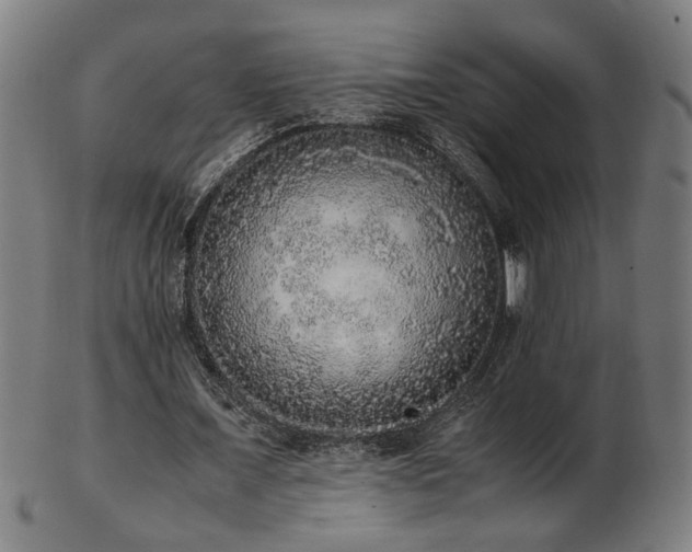 X0000103430675200809121330
