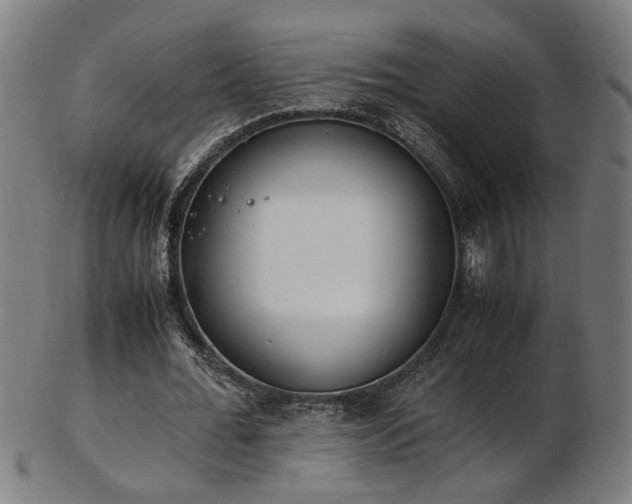 X0000103430676200809121330