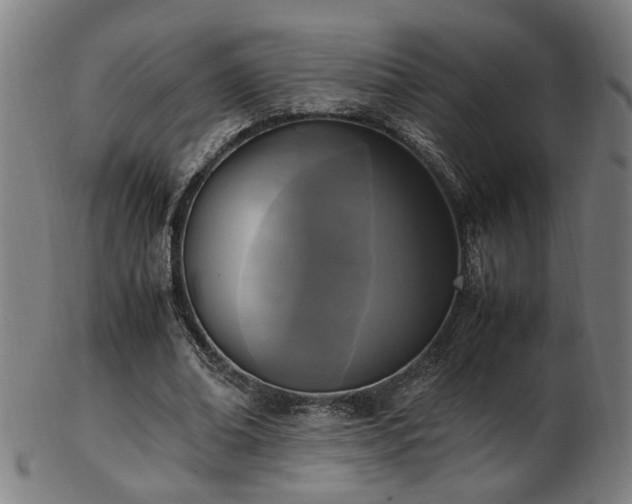 X0000103430678200809121330