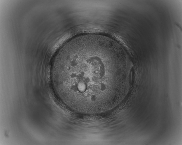 X0000103430679200809121330