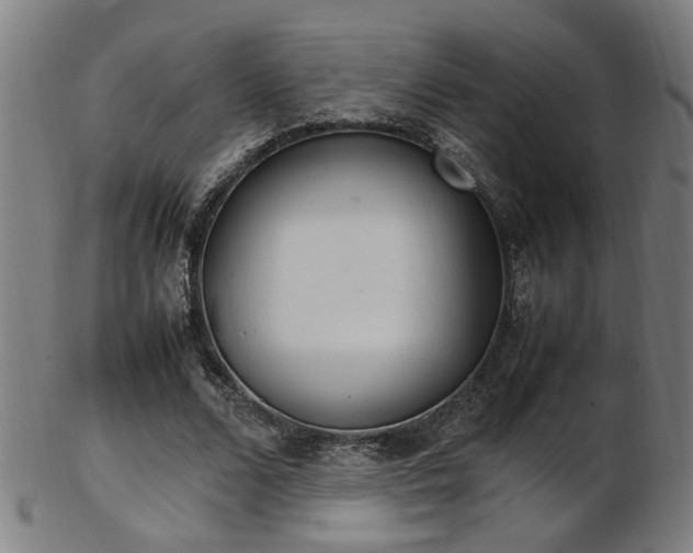 X0000103430680200809121330