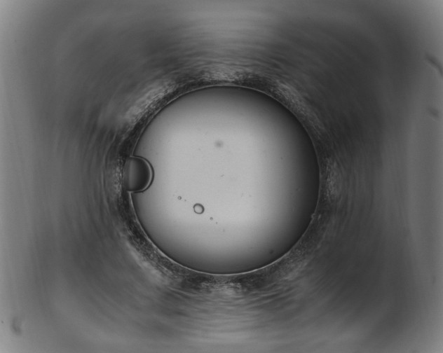 X0000103430683200809121330